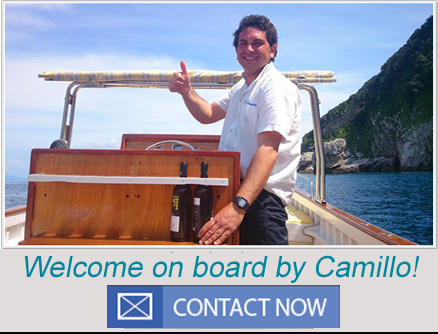 welcome capri tour boat