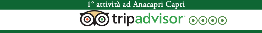 primi su tripadvisor